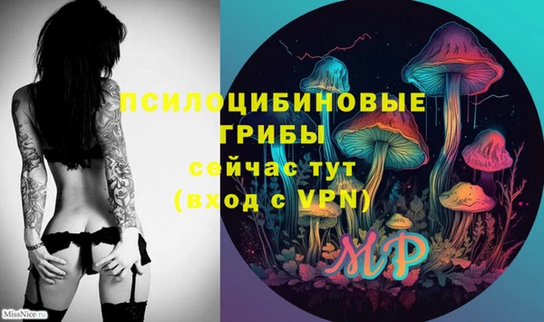 тгк Корсаков
