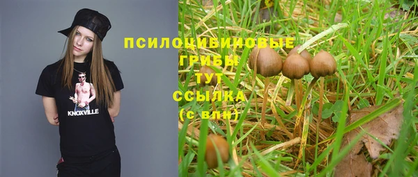 трава Костерёво