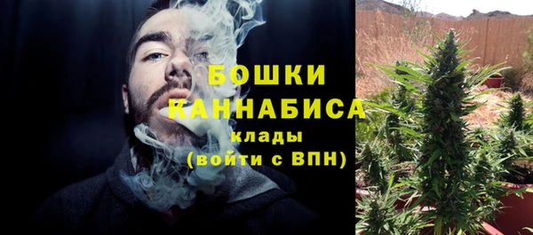 трава Костерёво
