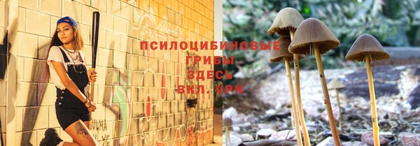 бутират Коряжма