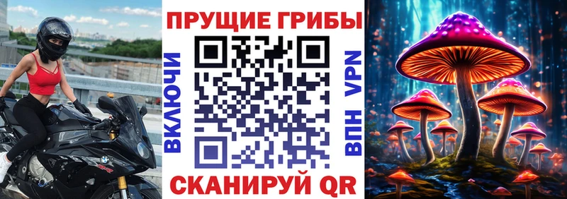 Галлюциногенные грибы мицелий  Купить  Бобров 